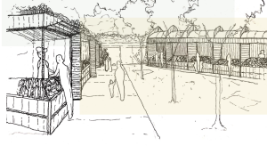 Andrew Murray Jr as entrepreneur